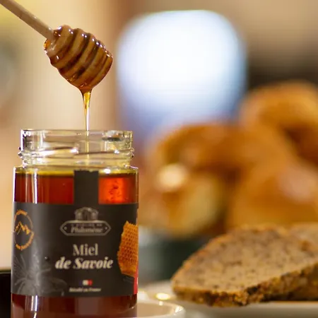 Nell - Axelle - Maison Tassoni 3* サン・マルセル