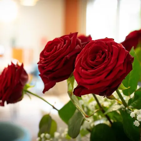 Nell - Axelle - Maison Tassoni